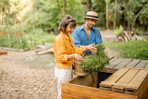 How to Set Up an Eco-Friendly Composting System at Home?